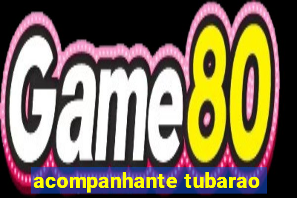 acompanhante tubarao